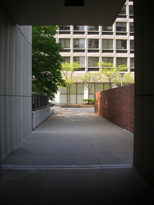 Boston, MA - My daily commute - Modernista!