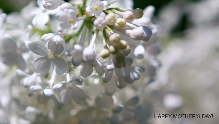 Happy Mother's Day 2009